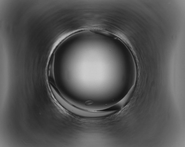 X0000086891344200704161238