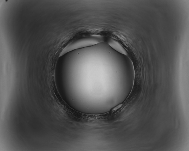 X0000086891345200704161237