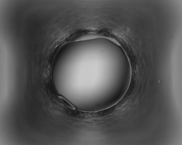 X0000086891349200704161237