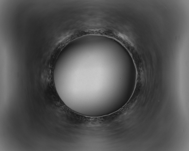 X0000086891350200704161237