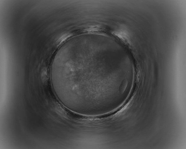 X0000086891353200704161237