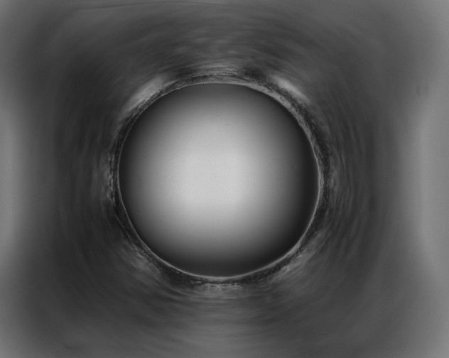 X0000086891354200704161237