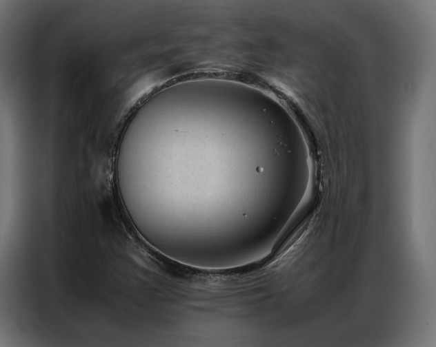 X0000086891355200704161237