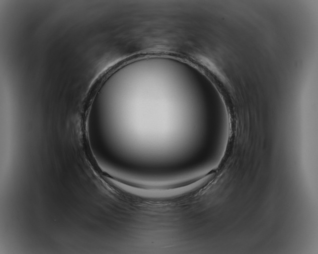 X0000086891356200704161237