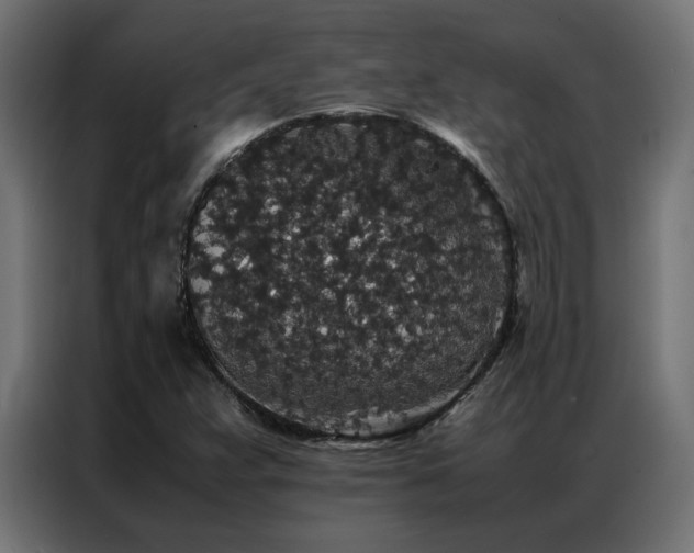 X0000086891359200704161237