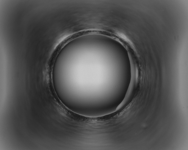 X0000086891360200704161237