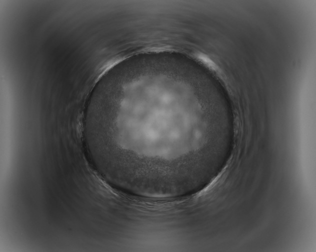 X0000086891361200704161237