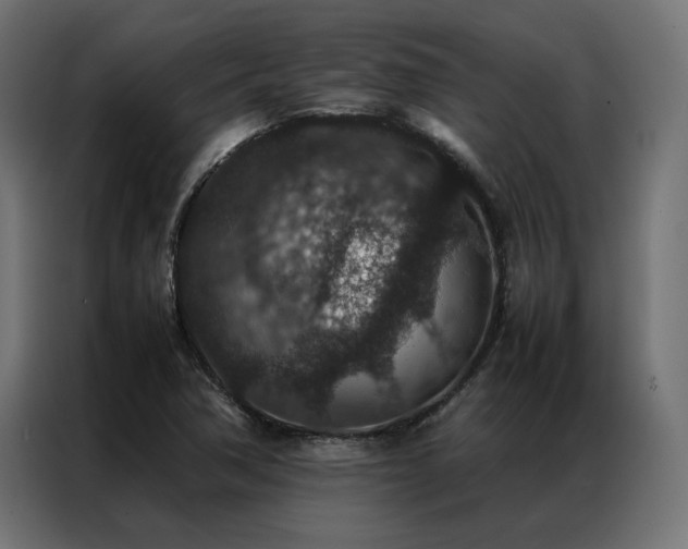 X0000086891362200704161237