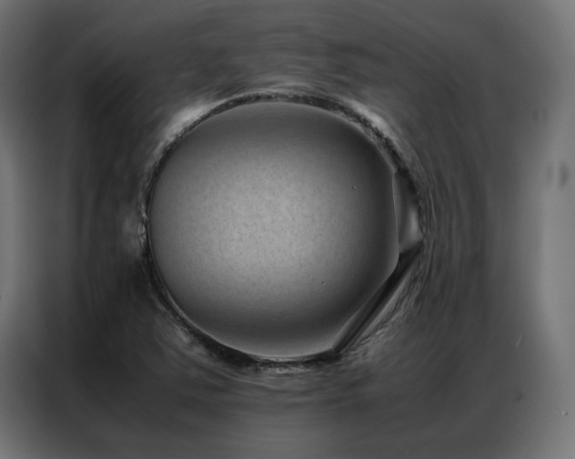 X0000086891363200704161237