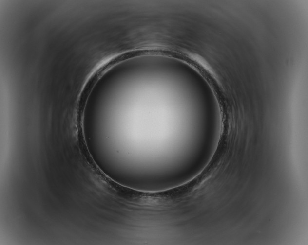 X0000086891364200704161237