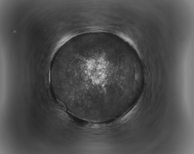 X0000086891365200704161237