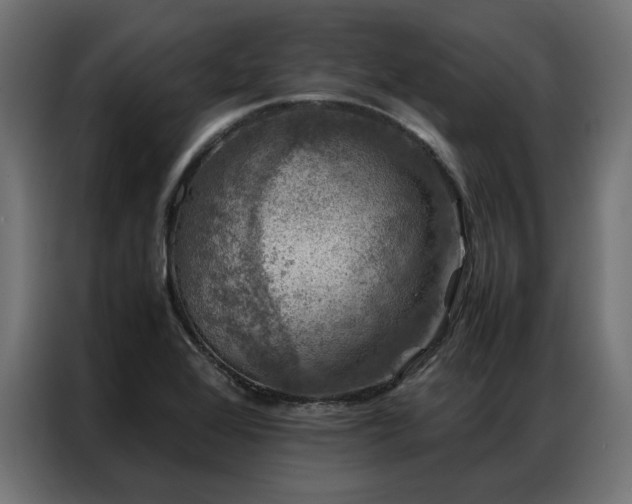 X0000086891368200704161237
