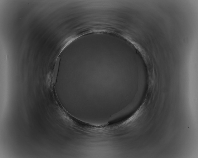 X0000086891369200704161237