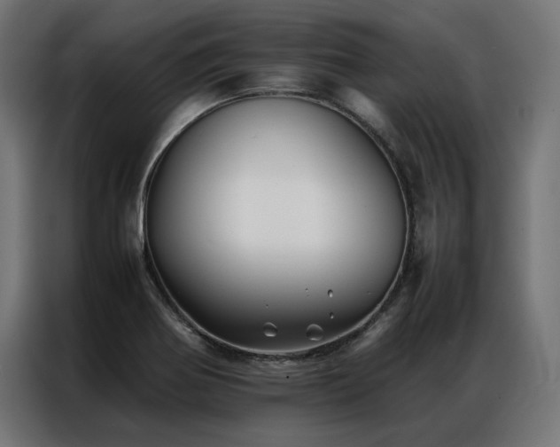 X0000086891370200704161236