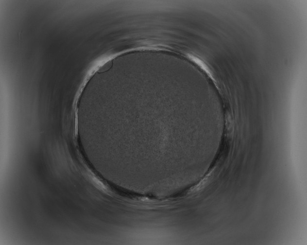 X0000086891371200704161236