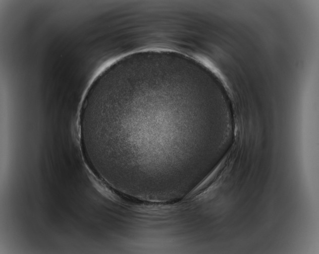 X0000086891372200704161236