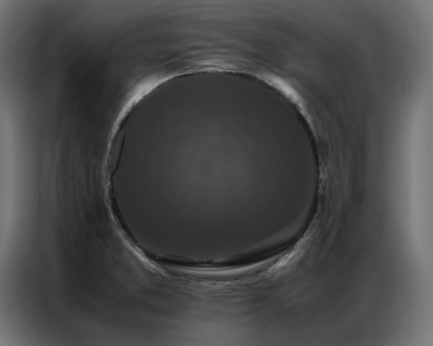 X0000086891373200704161236