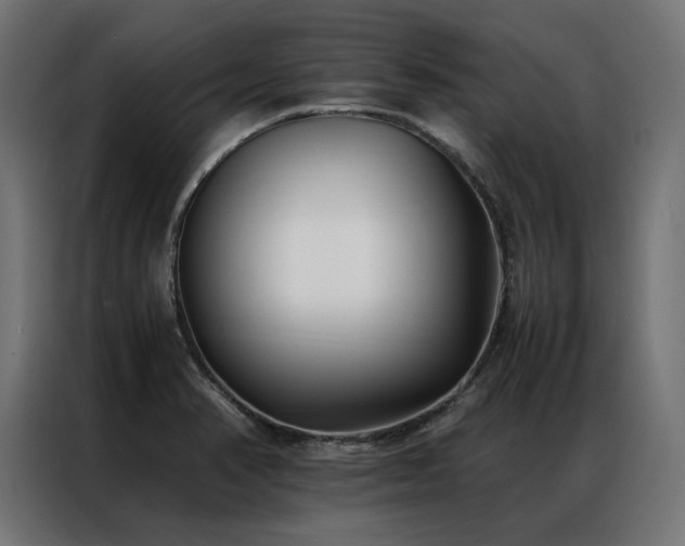 X0000086891374200704161236