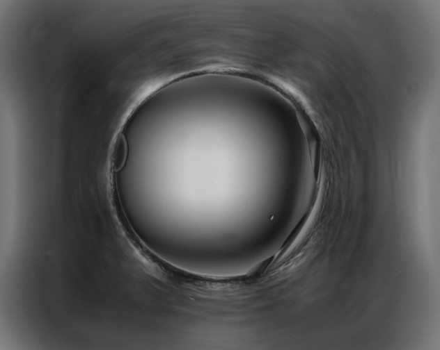 X0000086891375200704161236