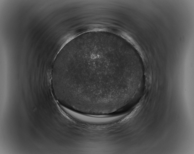 X0000086891377200704161236