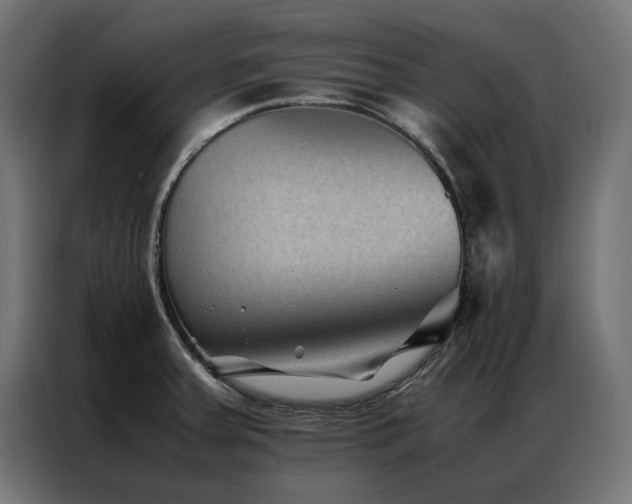 X0000086891379200704161236