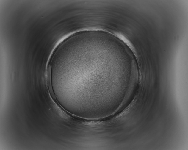 X0000086891380200704161236