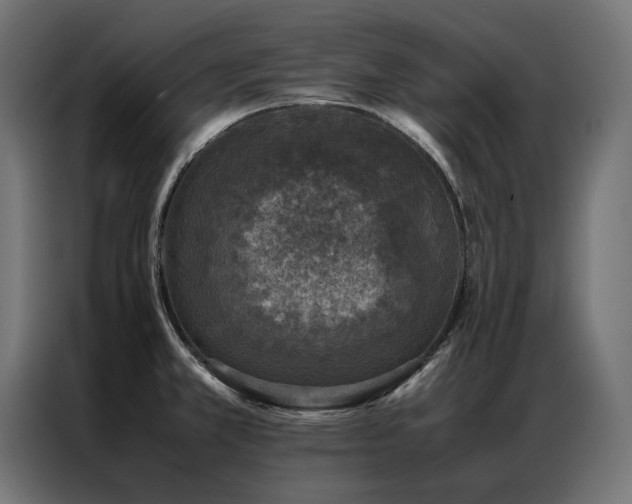 X0000086891381200704161236