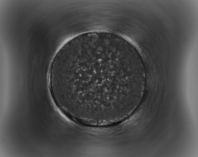 X0000086891383200704161236