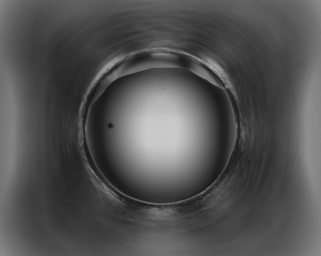 X0000086891384200704161236