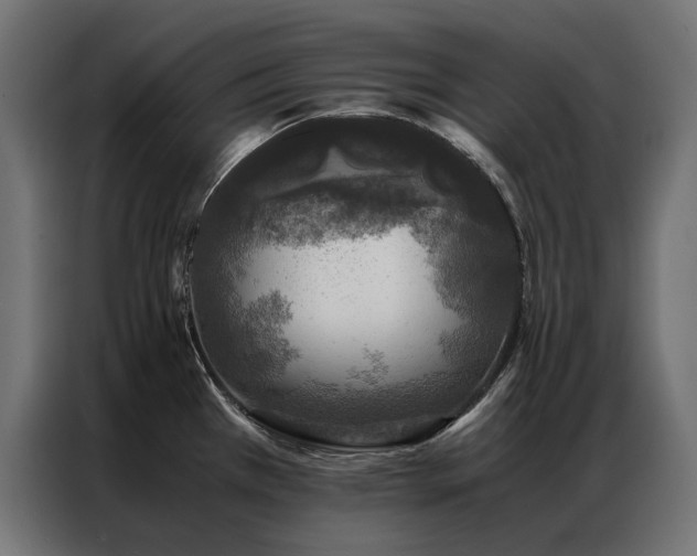 X0000086891385200704161236