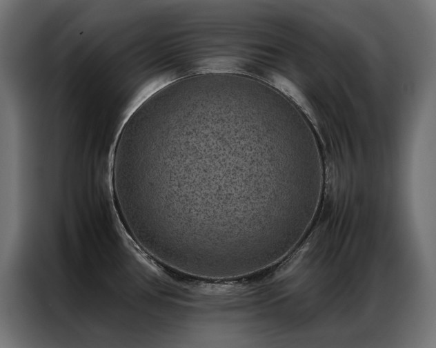 X0000086891386200704161236