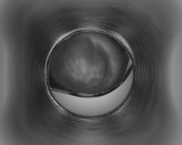 X0000086891388200704161236