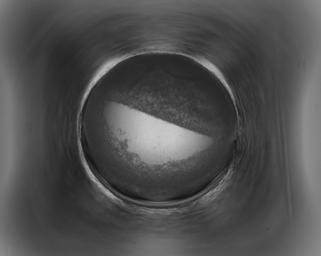 X0000086891389200704161236