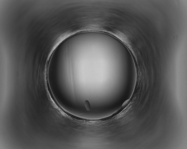 X0000086891390200704161236