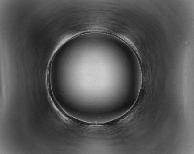 X0000086891391200704161236