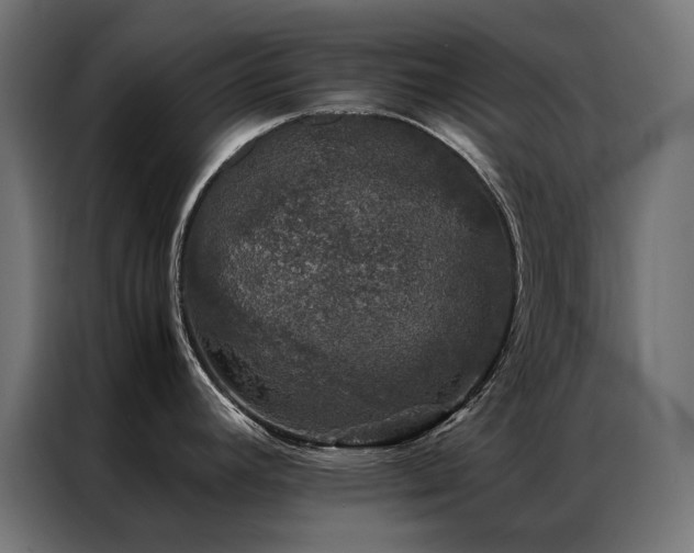 X0000086891392200704161236