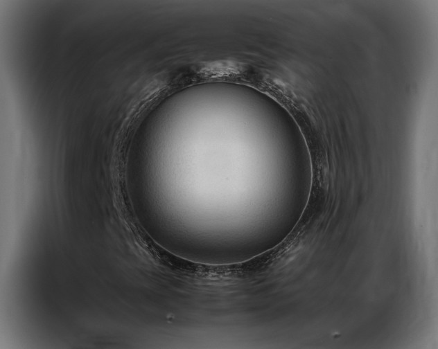 X0000086891393200704161235