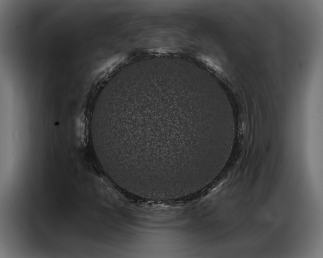 X0000086891398200704161235