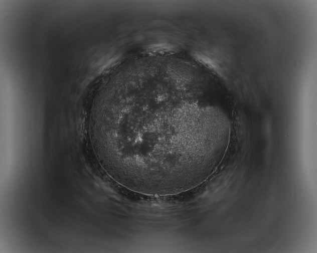 X0000086891399200704161235