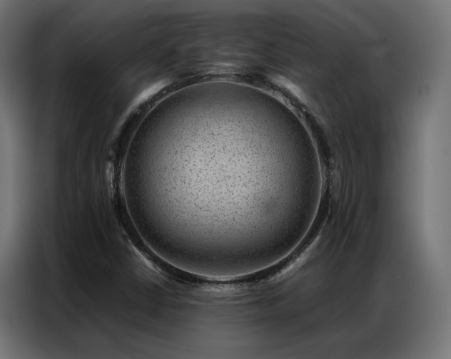 X0000086891402200704161235