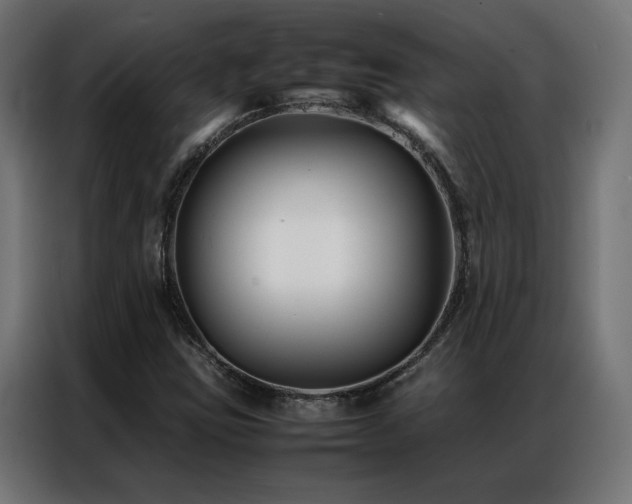 X0000086891403200704161235