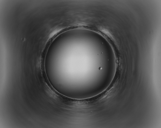 X0000086891404200704161235