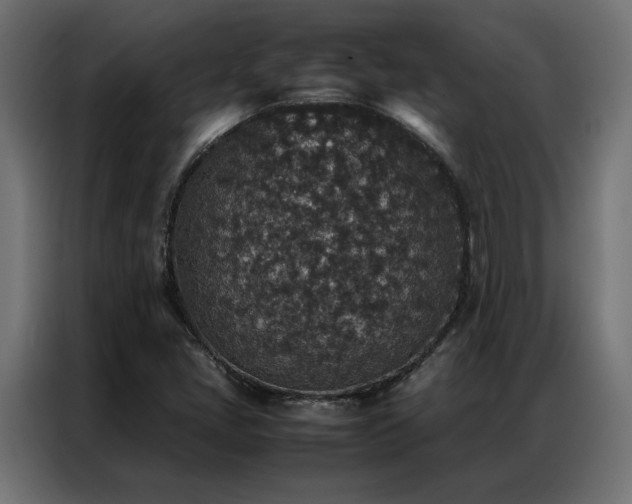 X0000086891405200704161235