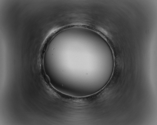 X0000086891408200704161235