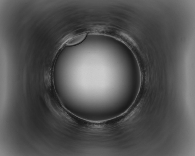 X0000086891409200704161235