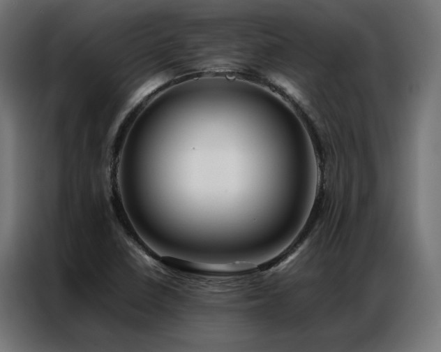 X0000086891410200704161235