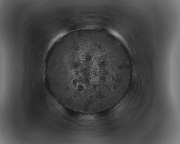 X0000086891411200704161235