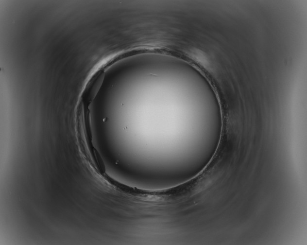 X0000086891412200704161235