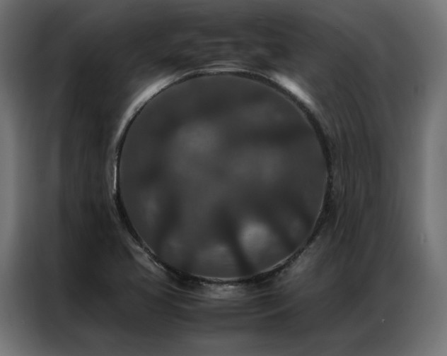 X0000086891413200704161236