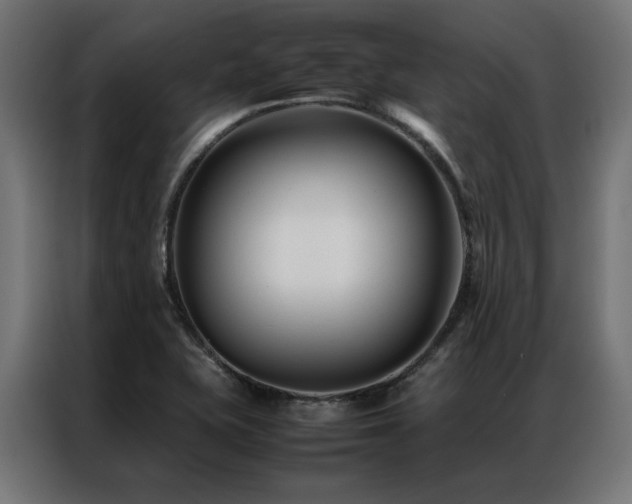 X0000086891415200704161236